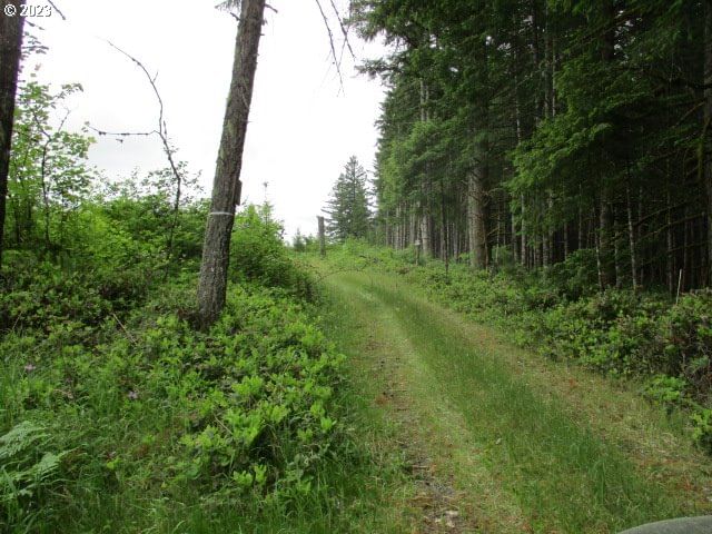 Listing photo 4 of 23, 00 Gruber South RD, Estacada, OR, 97023