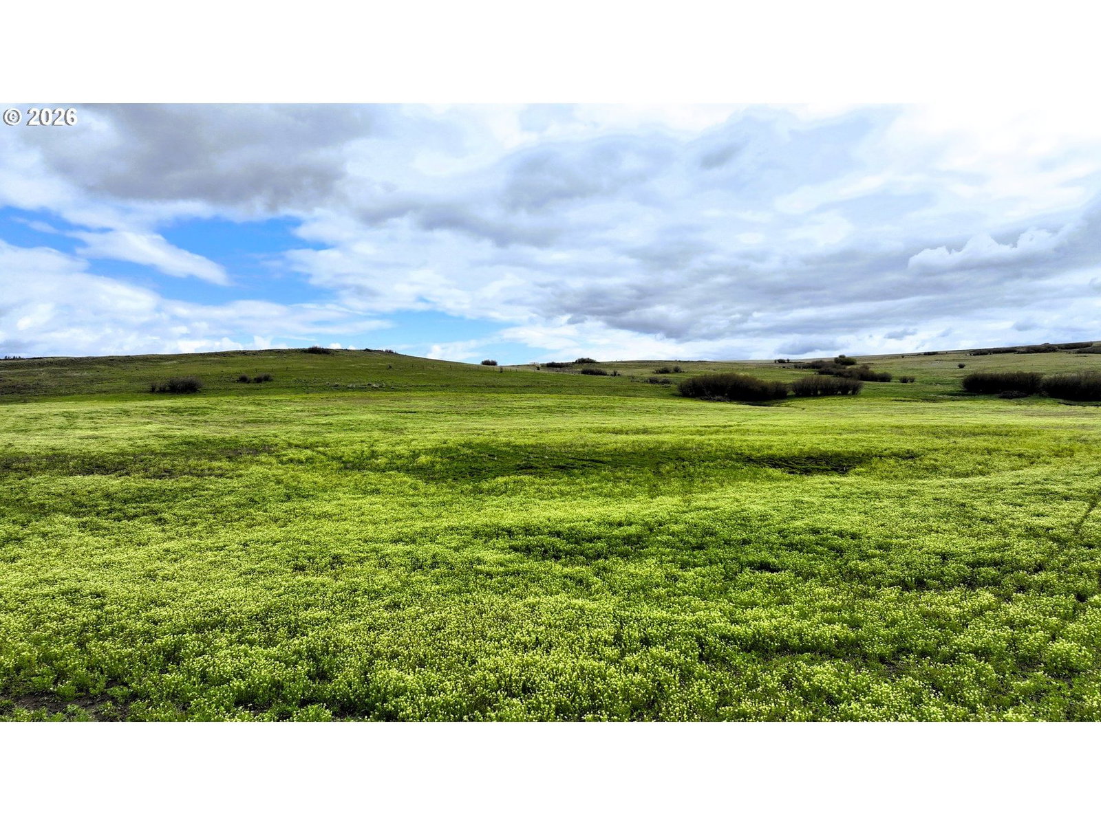 Listing photo 4 of 16, 68881 INDIAN CREEK RD, Elgin, OR, 97827