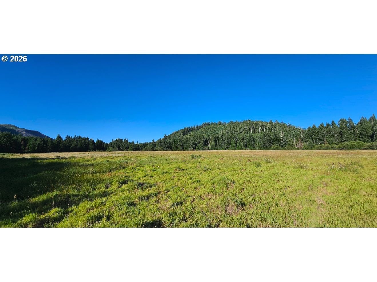 Listing photo 4 of 14, 0 Eden Valley RD, Powers, OR, 97466