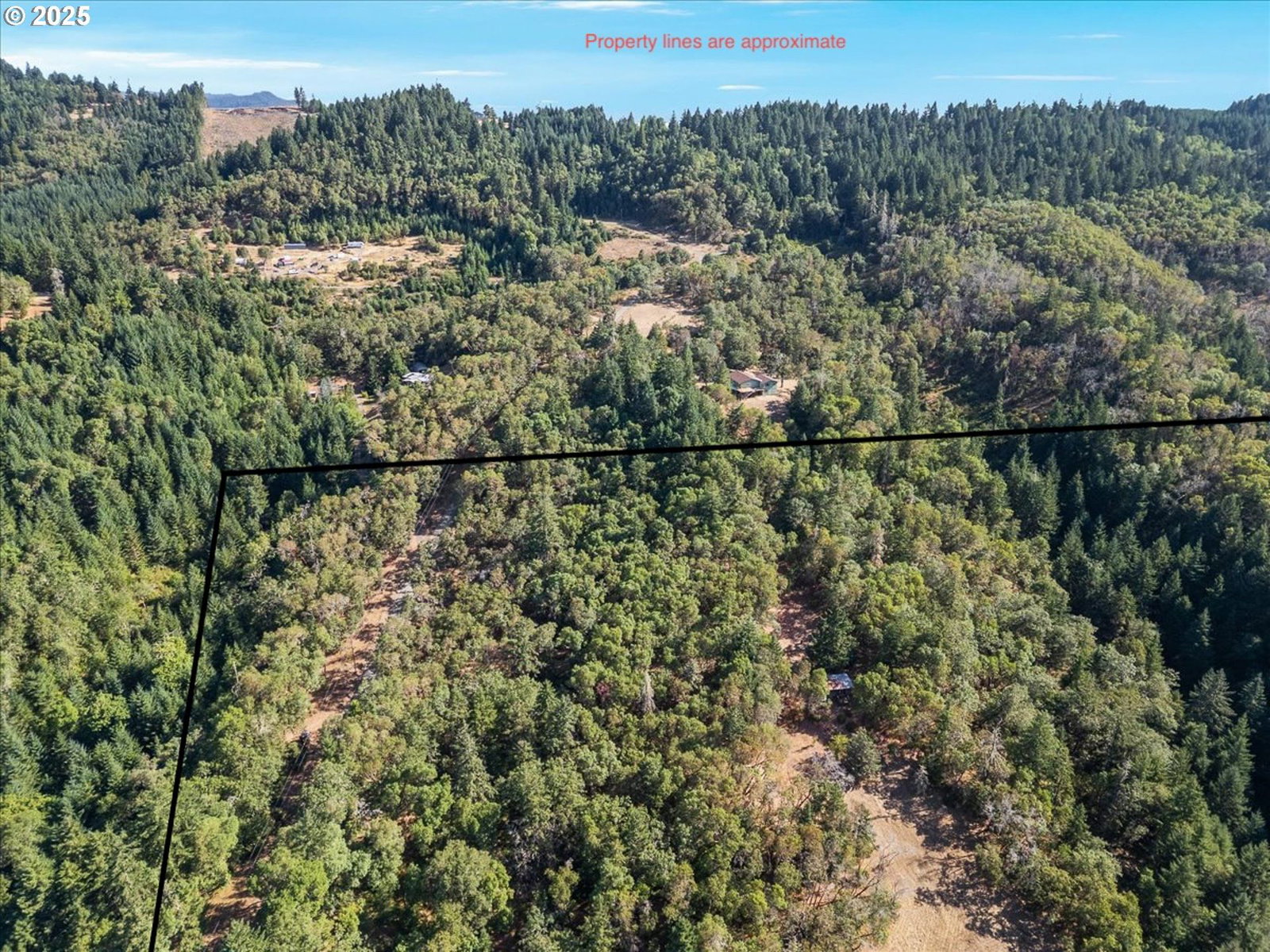 Listing photo 4 of 14, 725 WILDFLOWER LN, Oakland, OR, 97462