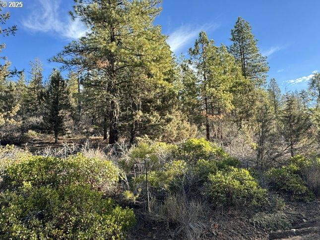 Listing photo 4 of 18, Hummingbird DR #13, Bonanza, OR, 97623