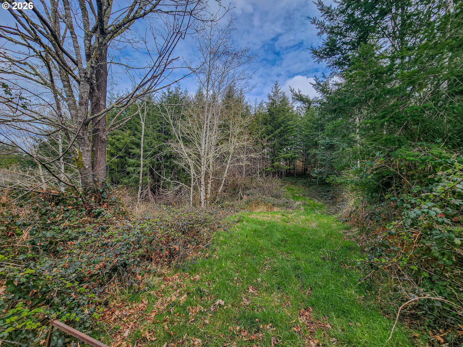 Listing photo 4 of 12, 00 Elderberry, Coquille, OR, 97423
