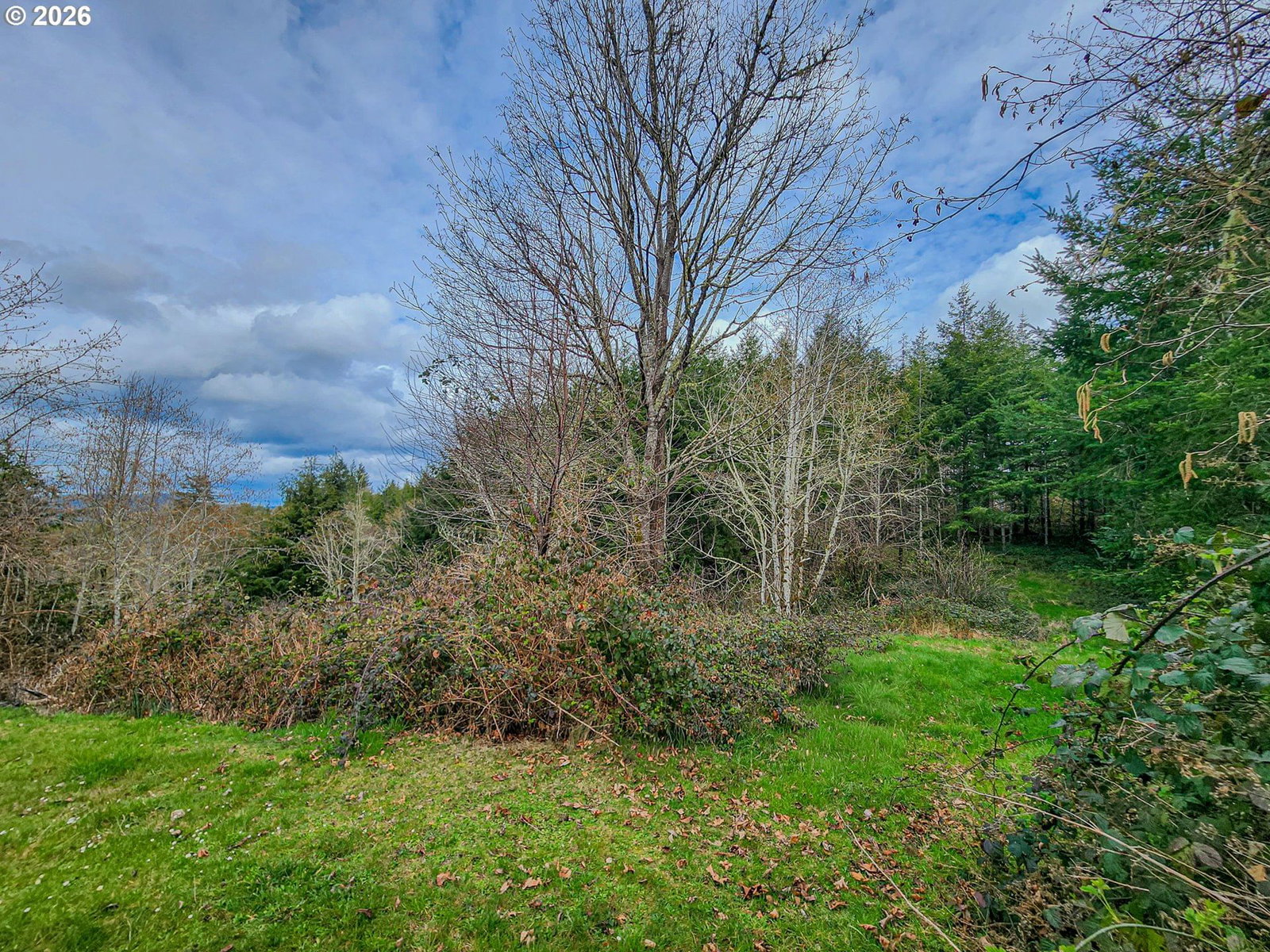 Listing photo 5 of 12, 00 Elderberry, Coquille, OR, 97423