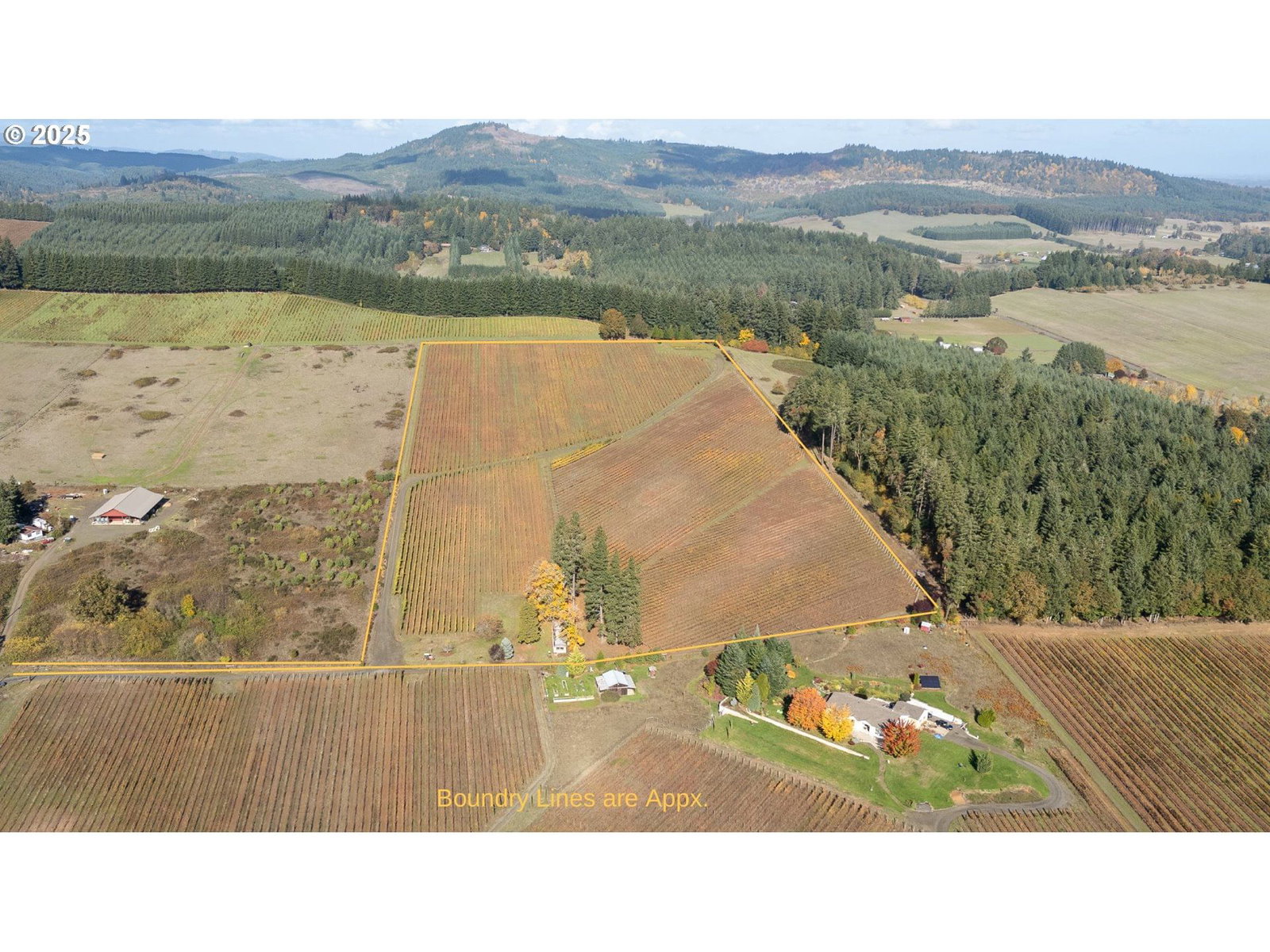Listing photo 4 of 43, 25219 HIGH PASS RD, Junction City, OR, 97448