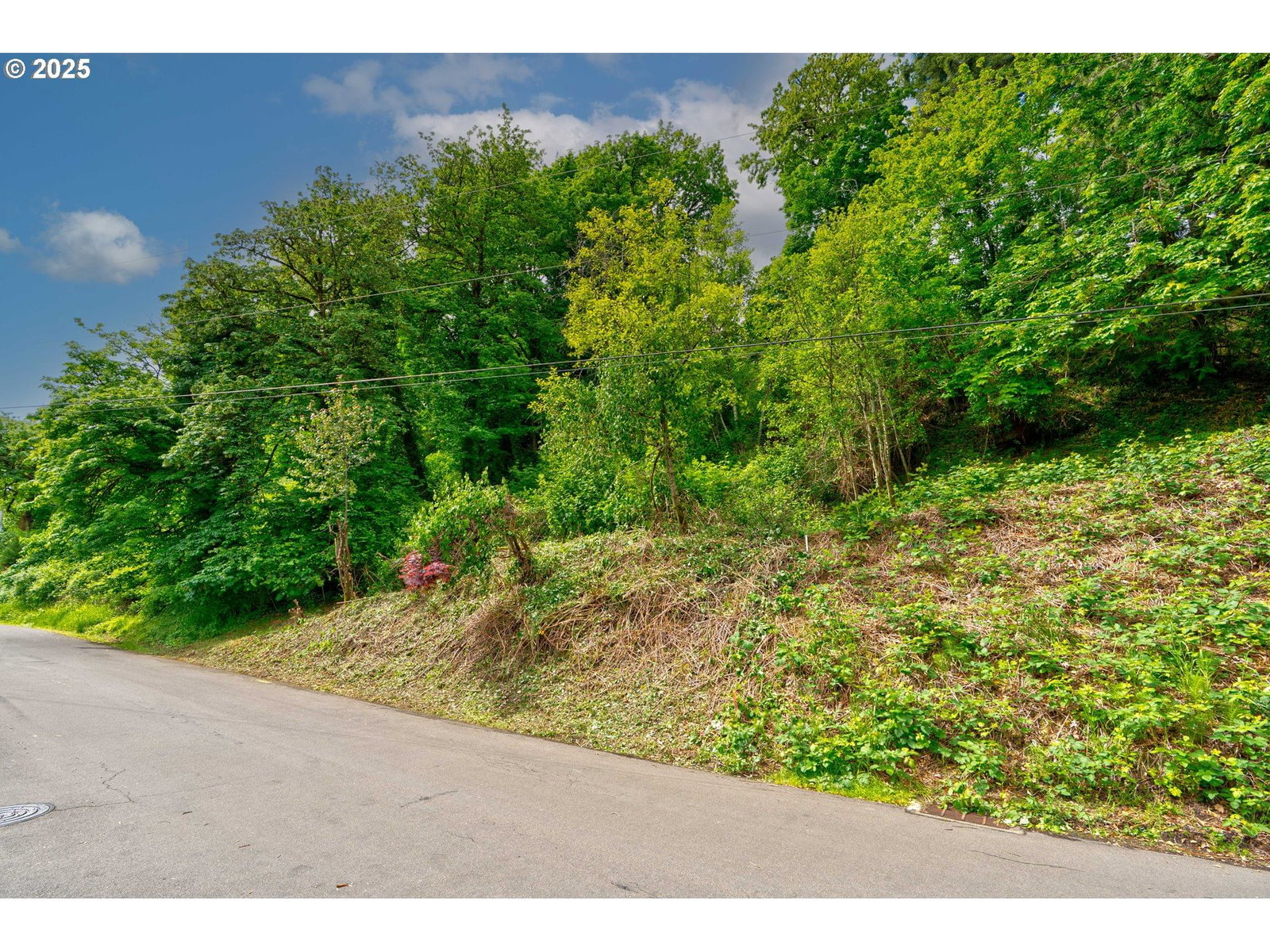 Listing photo 5 of 10, 19155 NIXON AVE, West Linn, OR, 97068