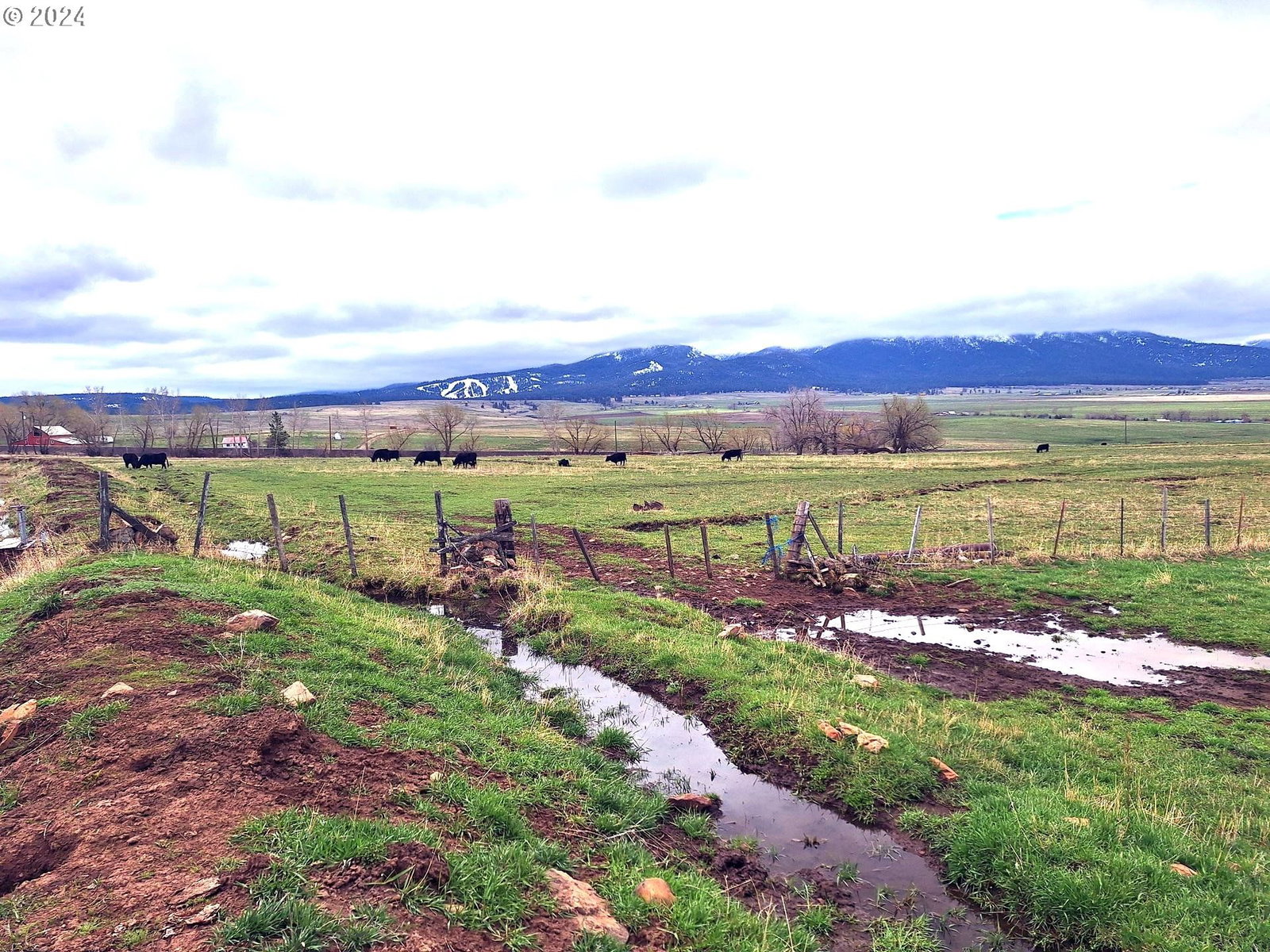 Listing photo 5 of 21, Daggett Lane, Joseph, OR, 97846
