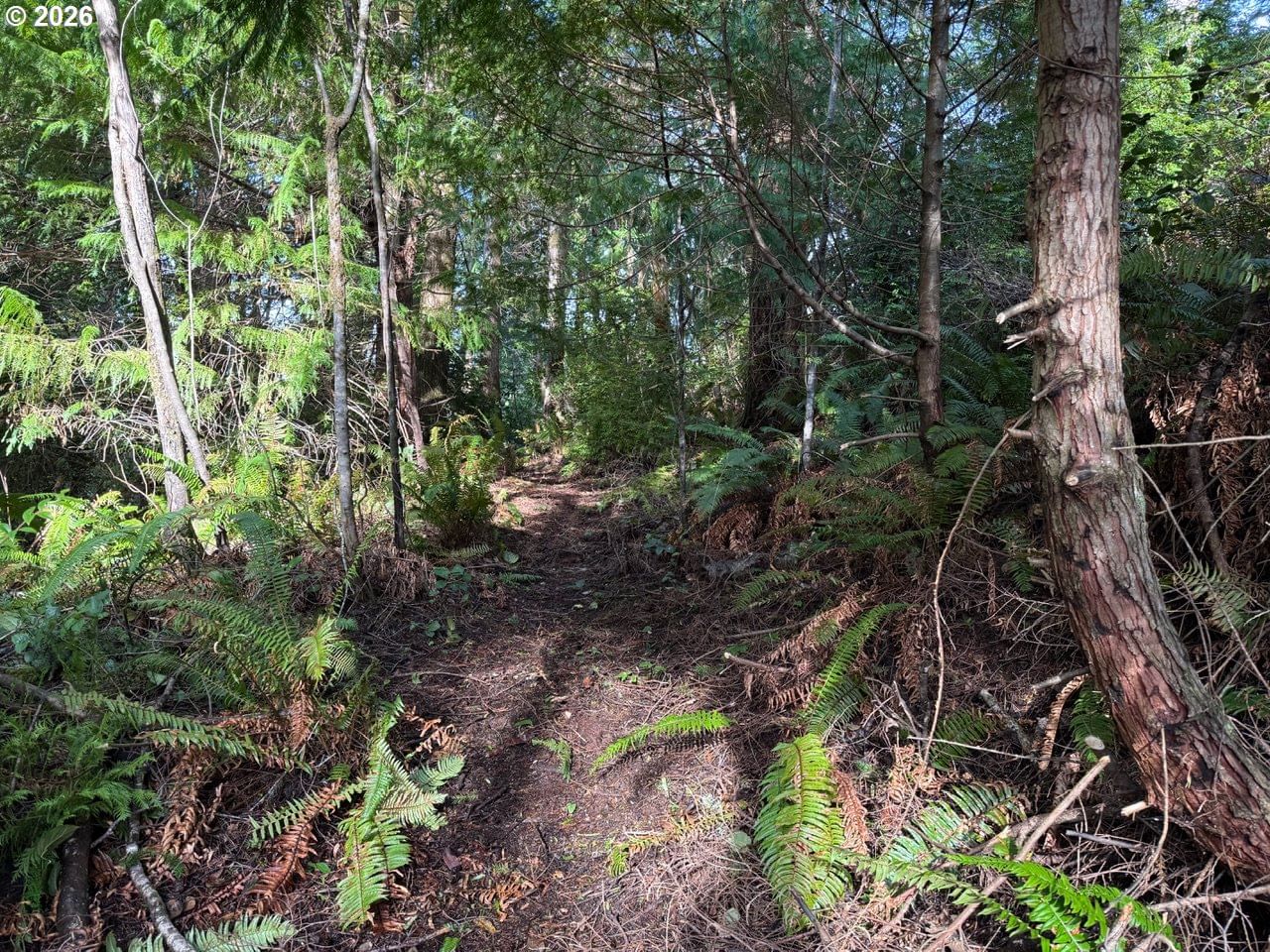 Listing photo 4 of 6, AVERILL HILL RD, Port Orford, OR, 97465