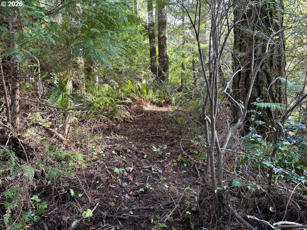 Listing photo 5 of 6, AVERILL HILL RD, Port Orford, OR, 97465