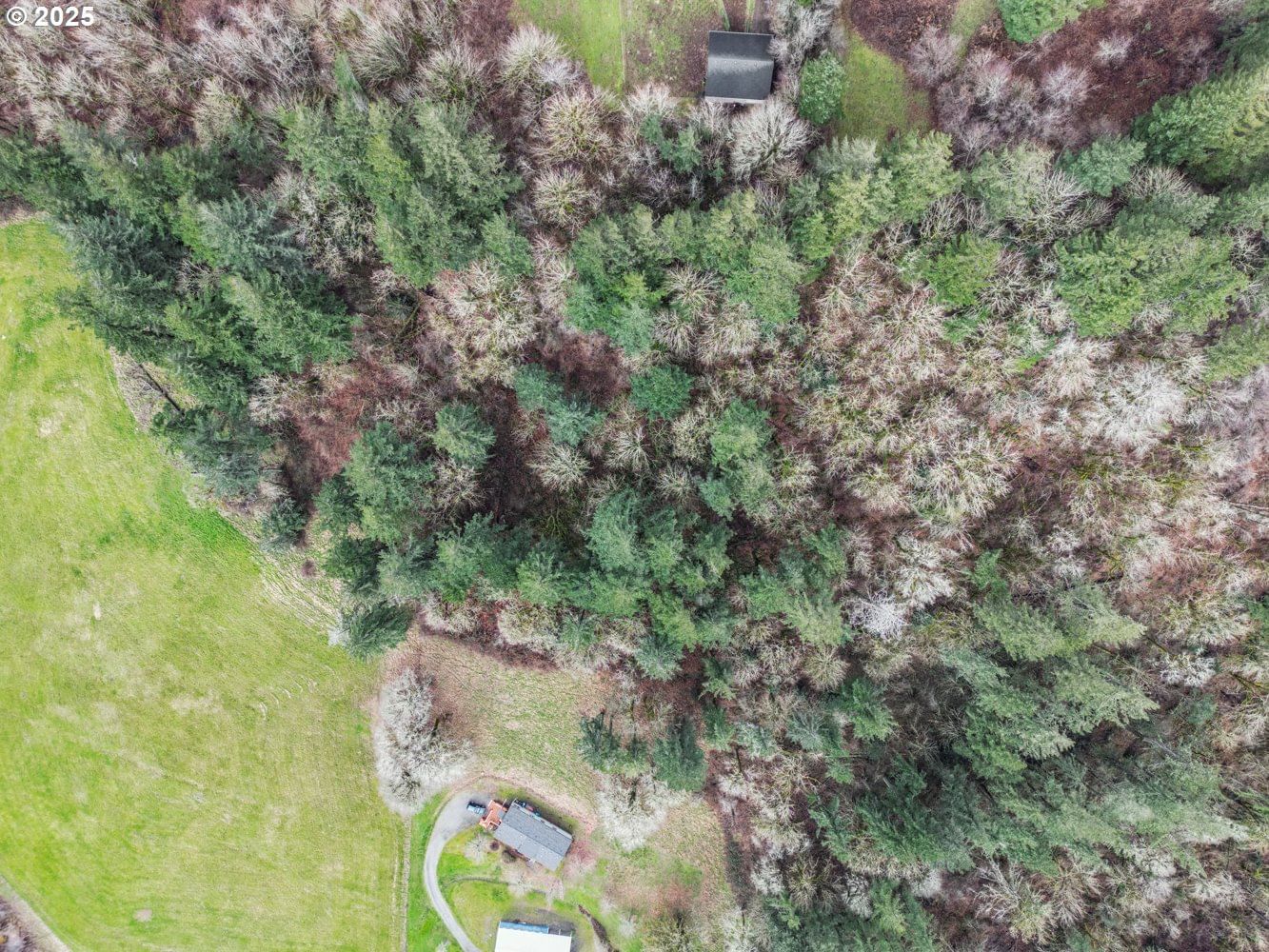 Listing photo 4 of 15, 0 57th ST, Washougal, WA, 98671