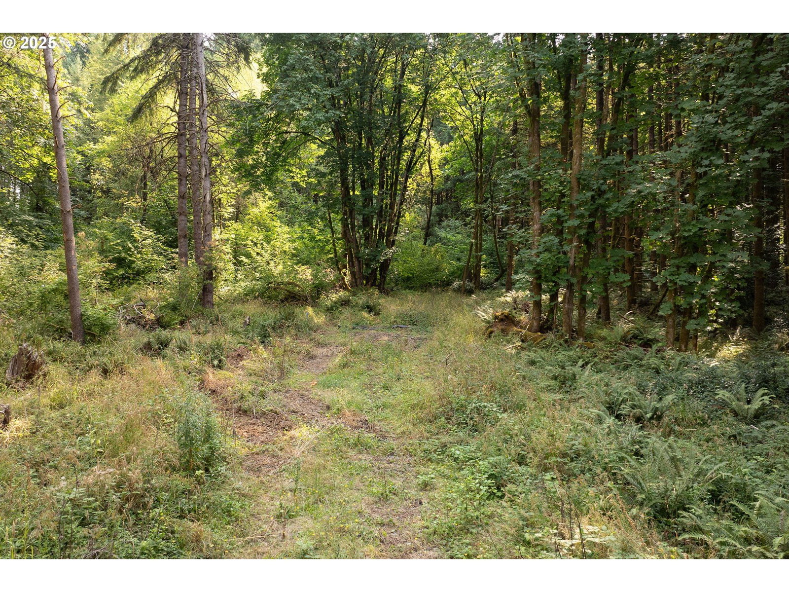 Listing photo 5 of 16, 11975 SE ZION HILL DR, Damascus, OR, 97089