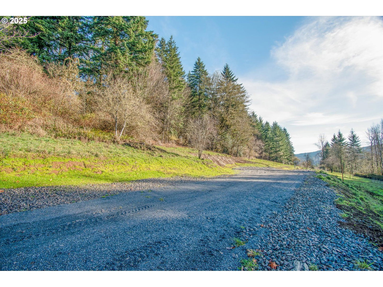 Listing photo 5 of 23, 110 LENORA LN, Kelso, WA, 98626