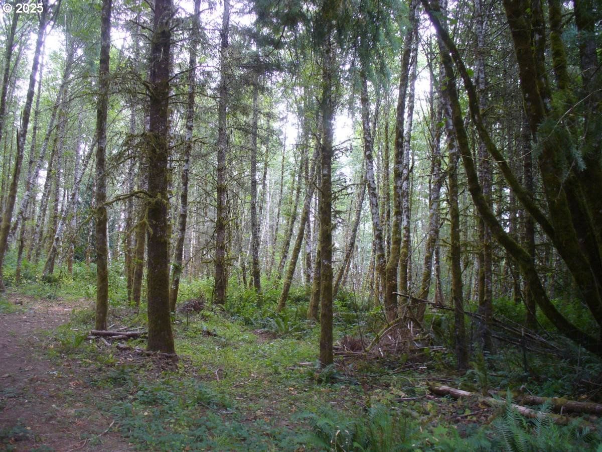 Listing photo 4 of 21, 0 Old Rainier RD, Rainier, OR, 97048