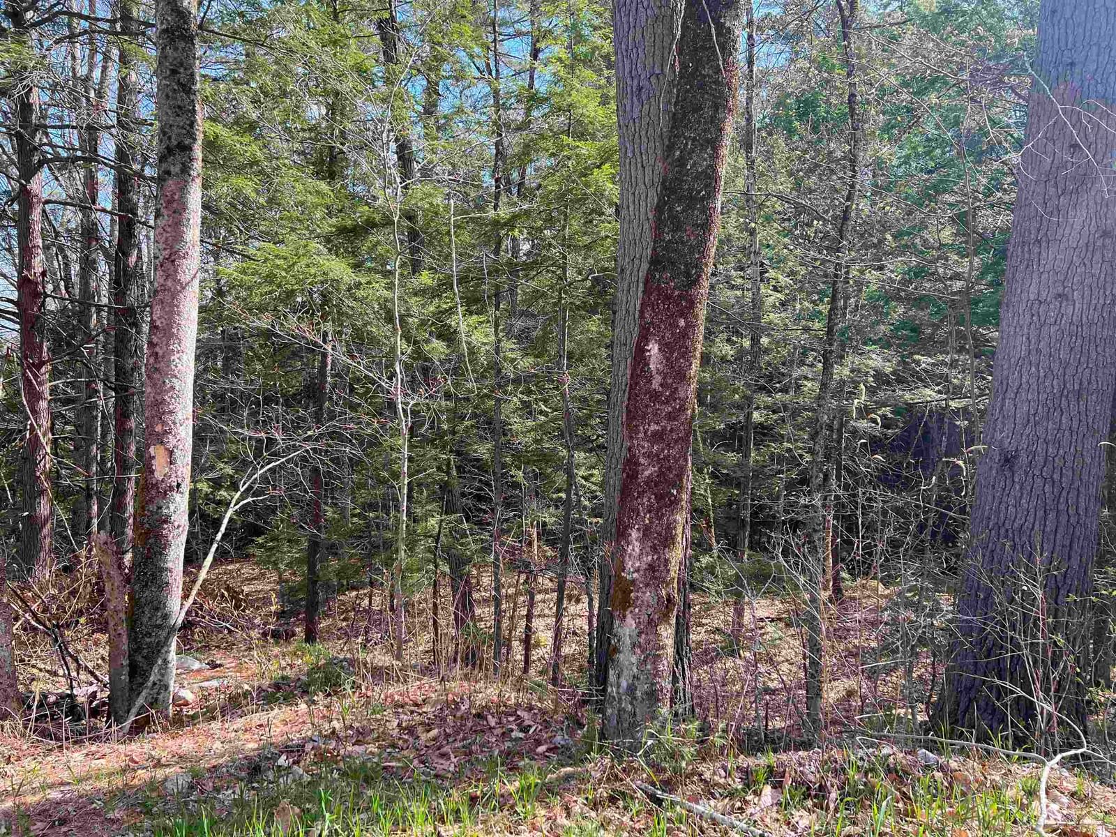 0 Brookside Street, Conway, NH 03818 photo 3