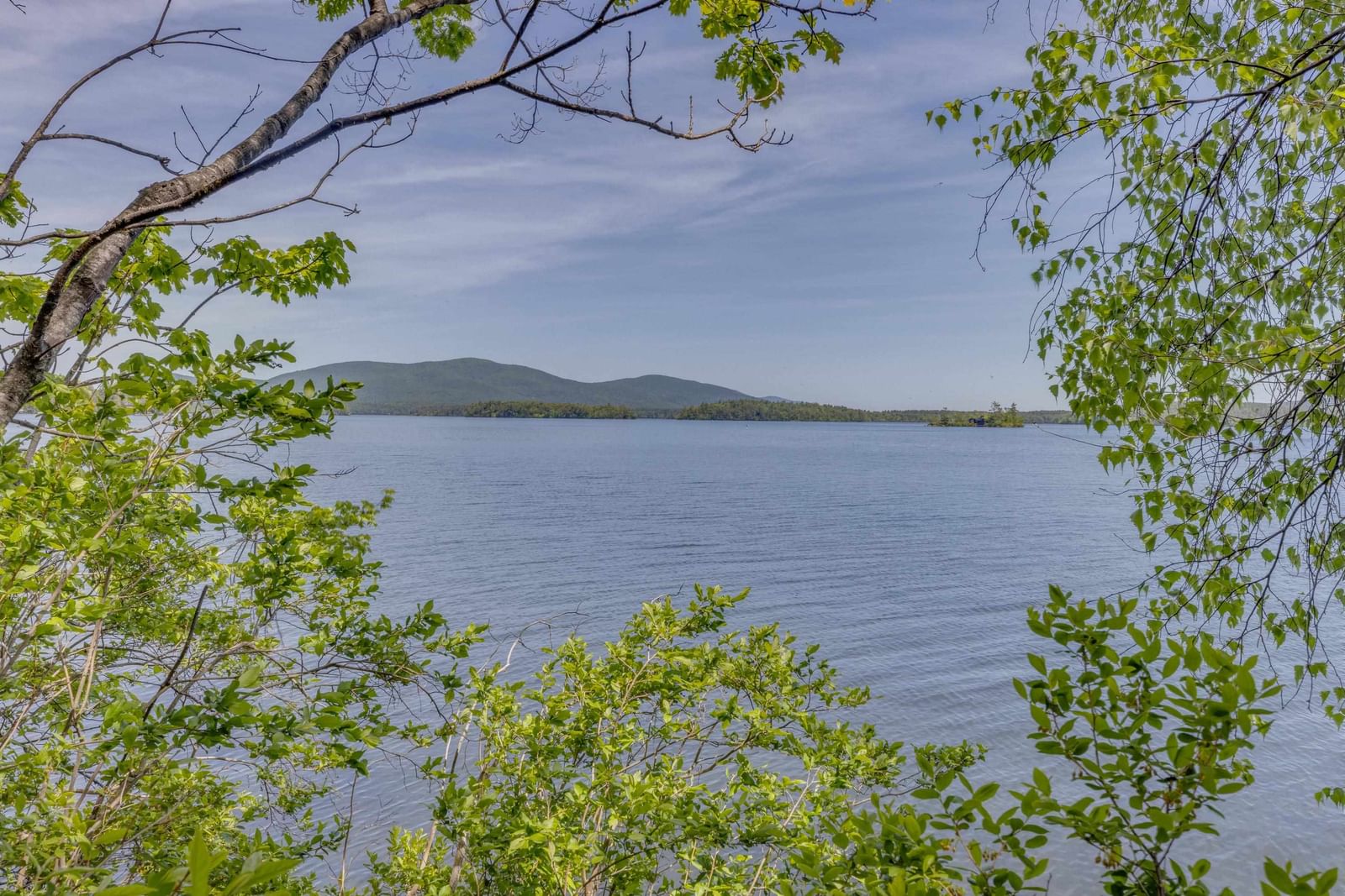 28 Potato Island Is, Holderness, NH 03245 photo 5