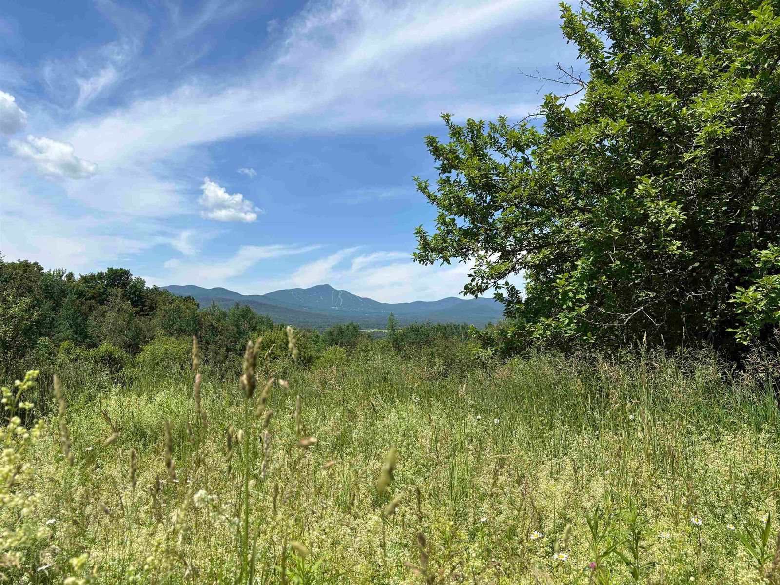 990 Bergeron Road, Troy, VT 05859 photo 2