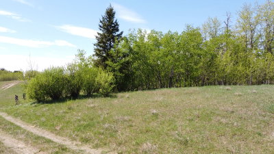 Range Rd 205