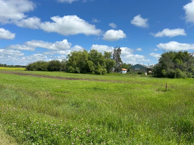 Avenue