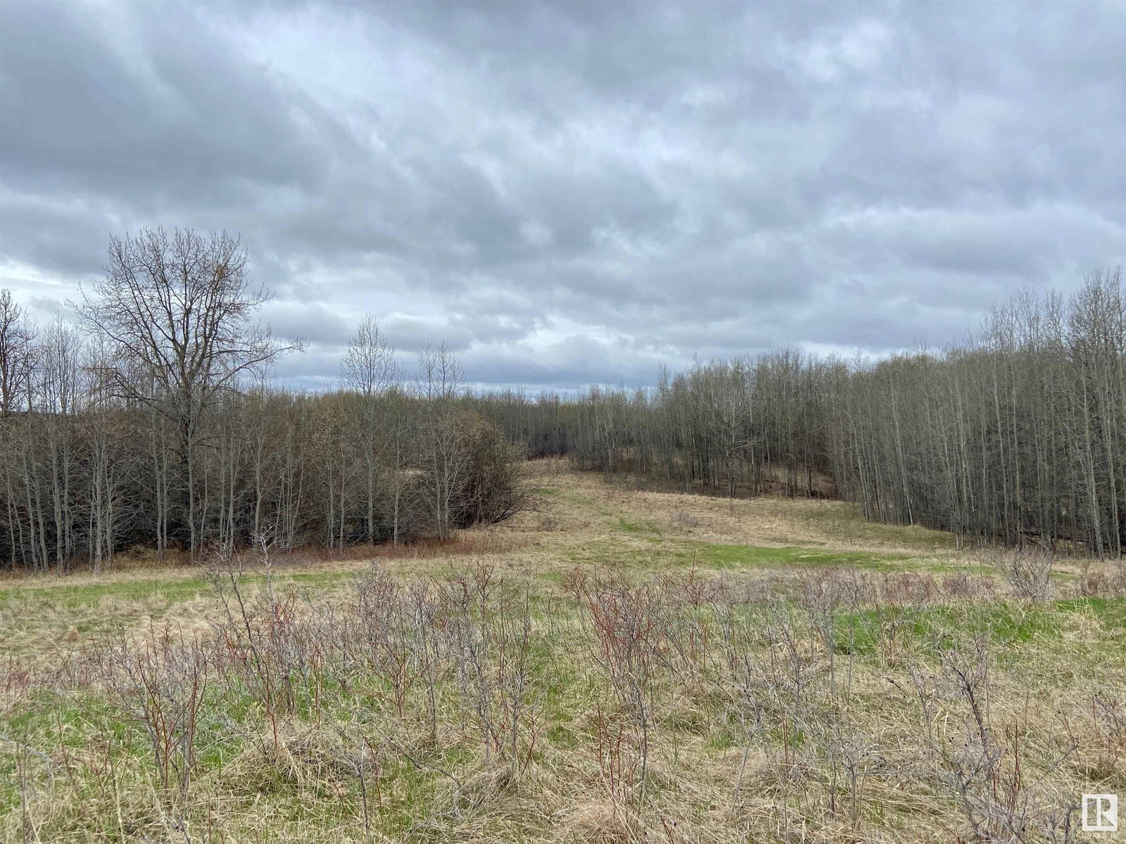 Listing Image 42