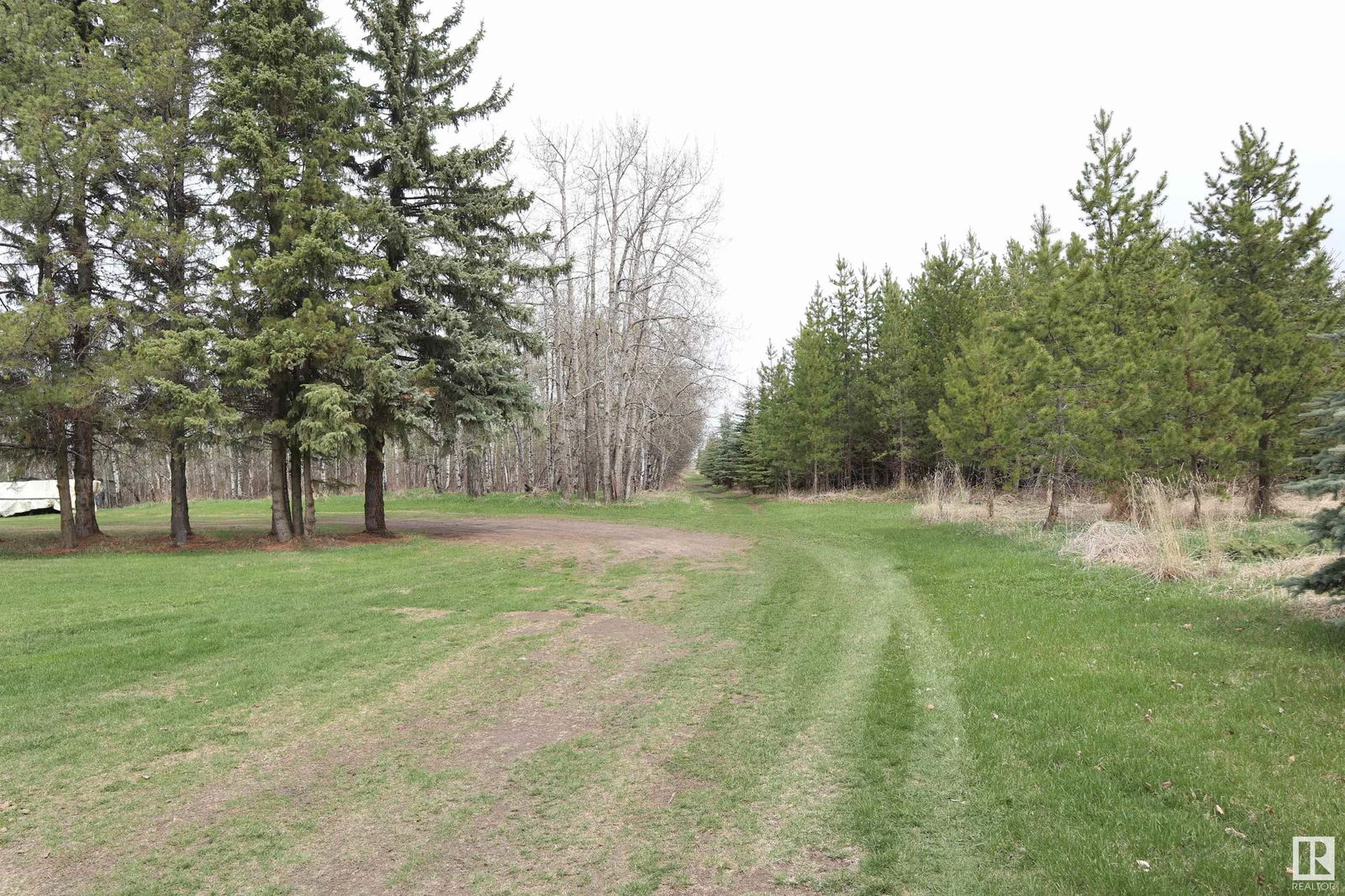 Listing Image 27