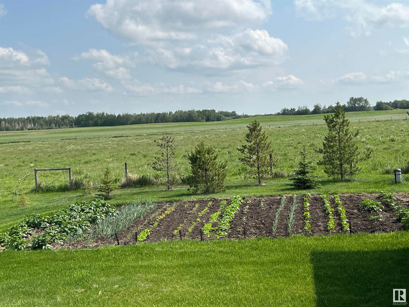 Listing Image 24