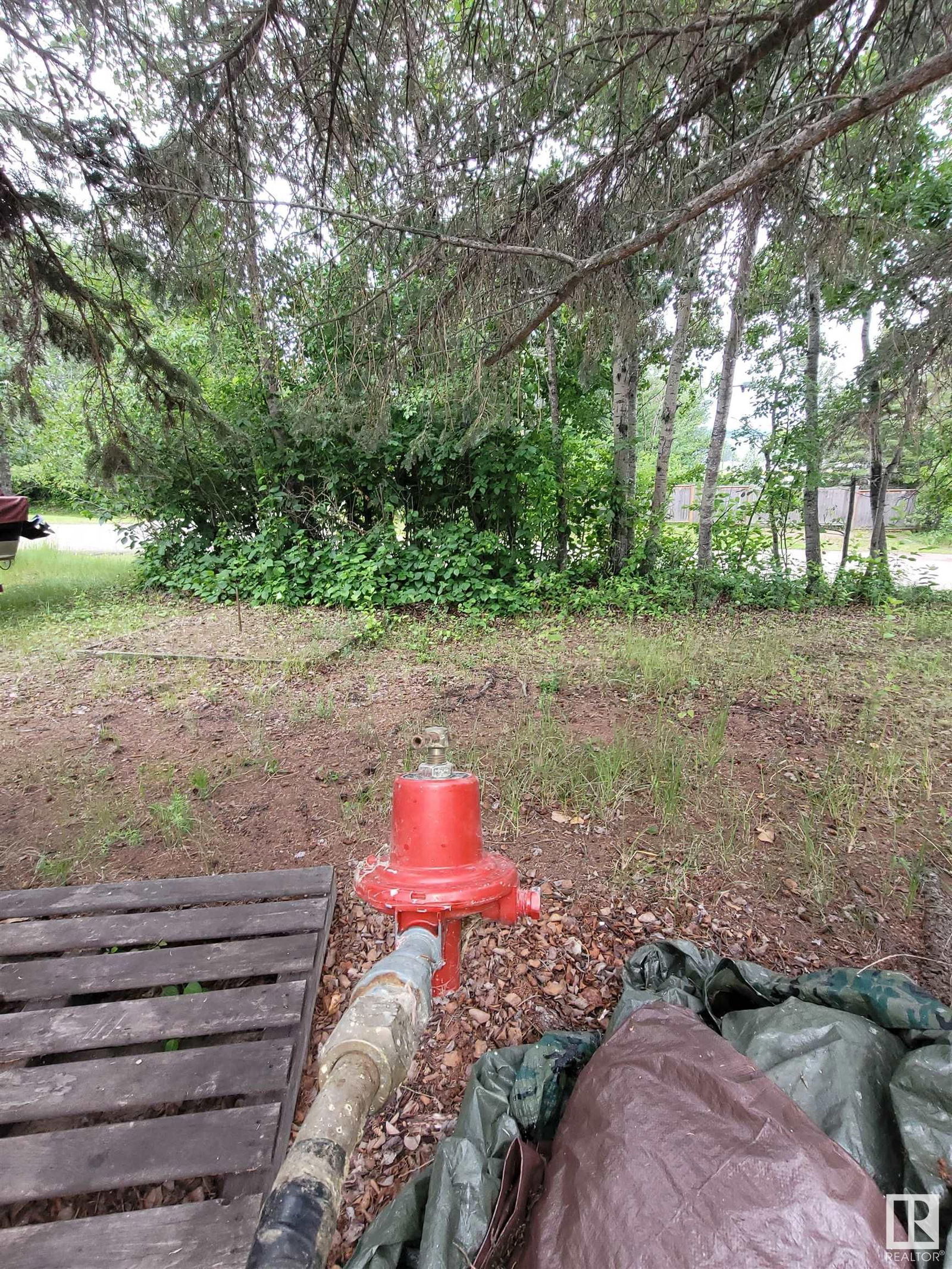 Listing Image 14