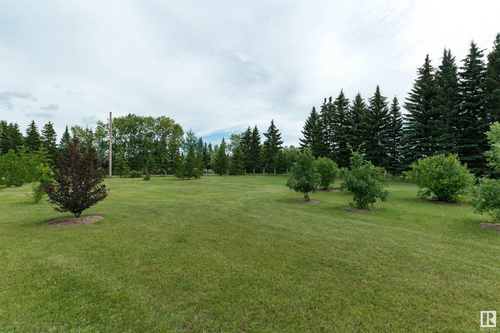 Listing Image 42