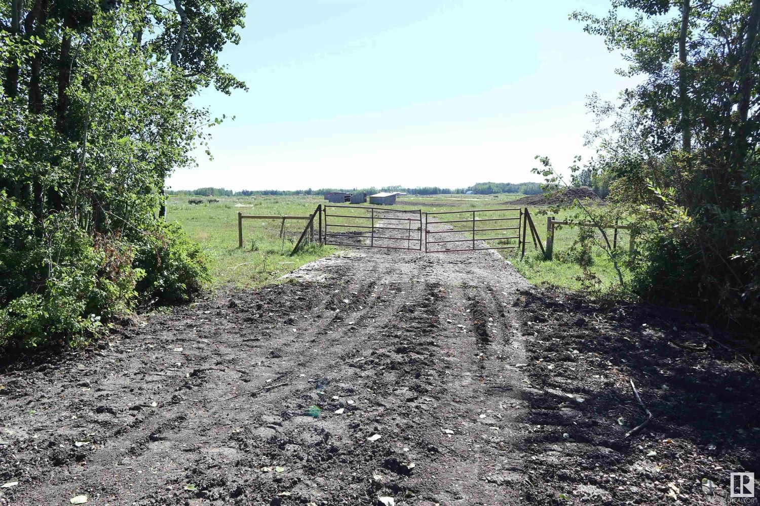 Listing Image 41