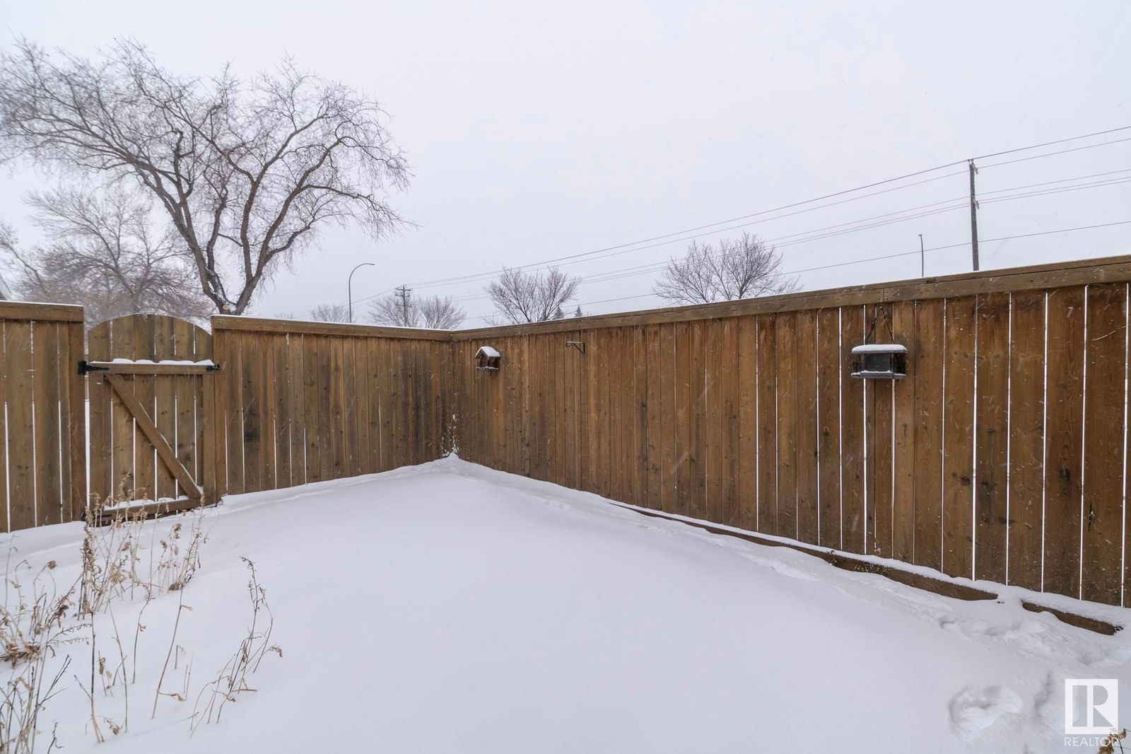 Listing Image 33