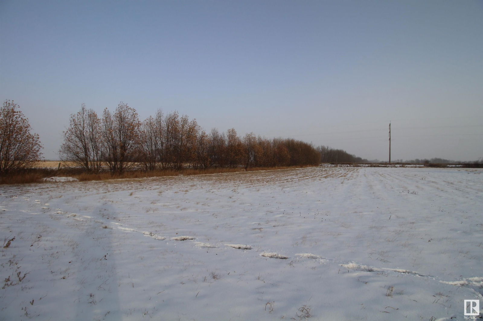 Listing Image 29