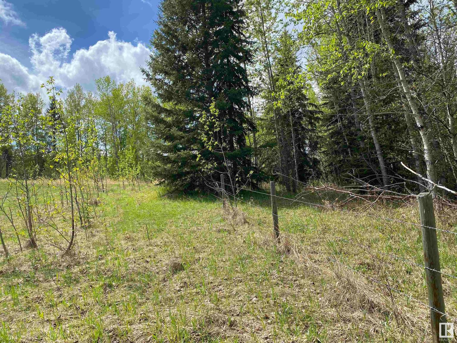 Listing Image 29