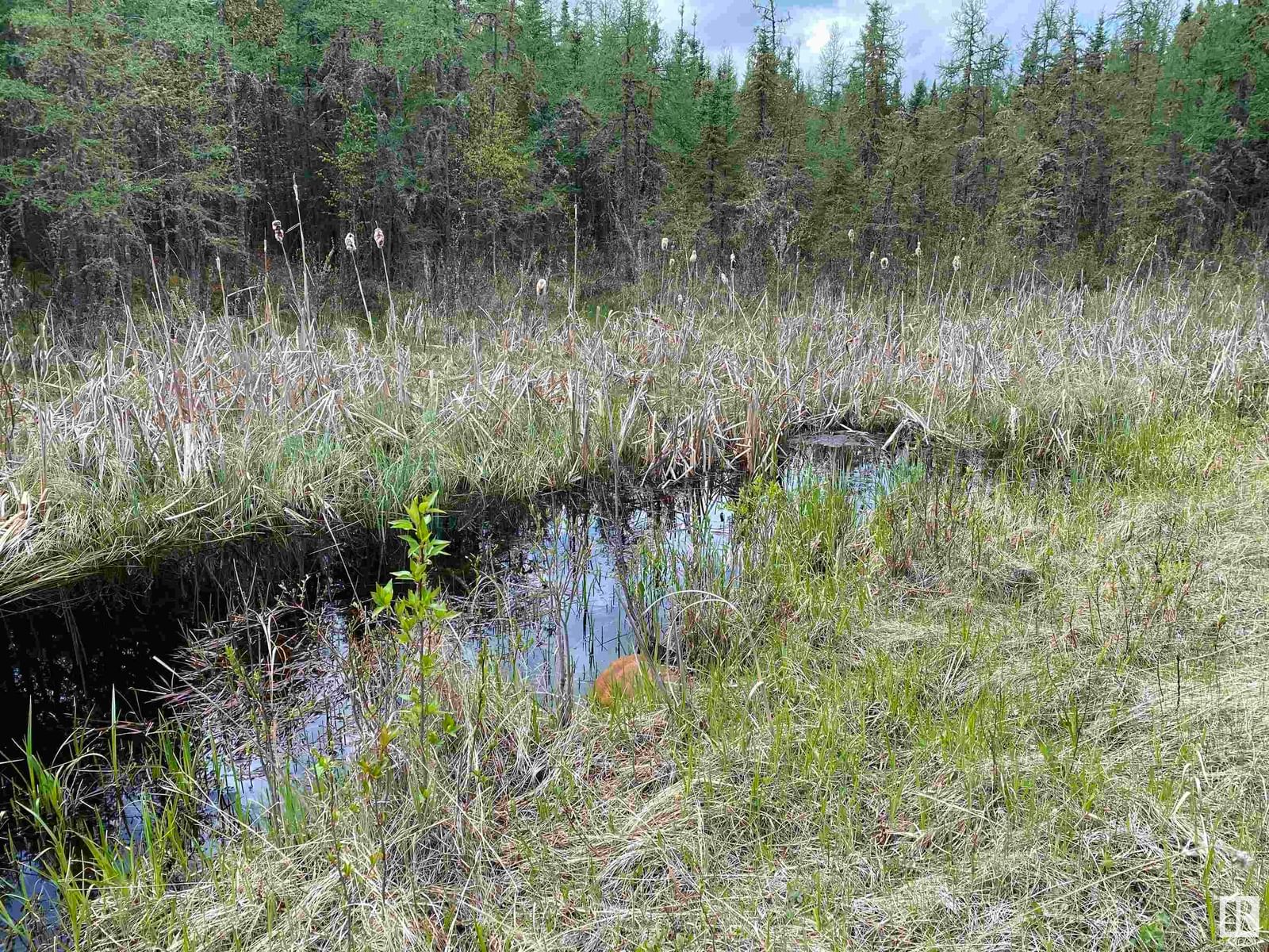 Listing Image 38
