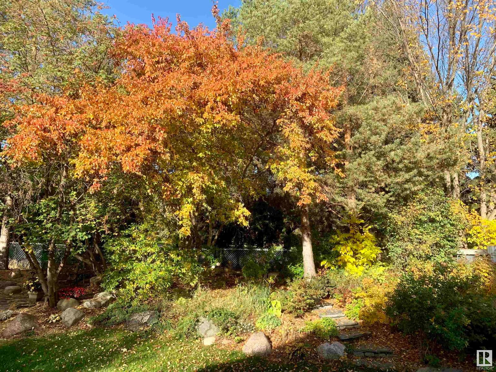 Listing Image 72