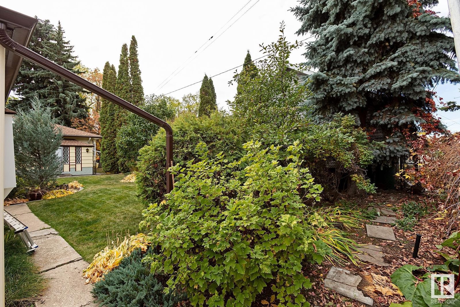 Listing Image 52