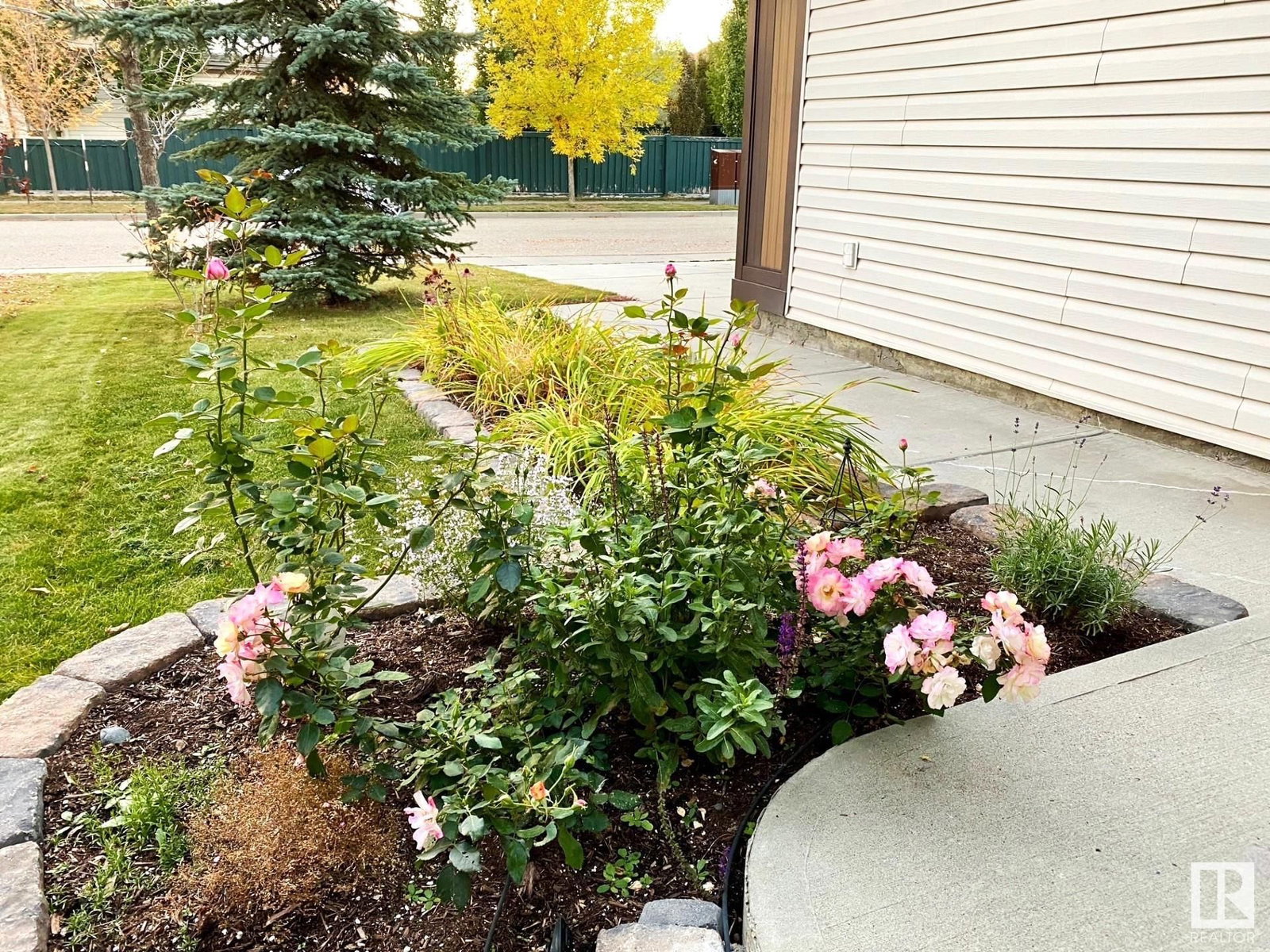 Listing Image 52