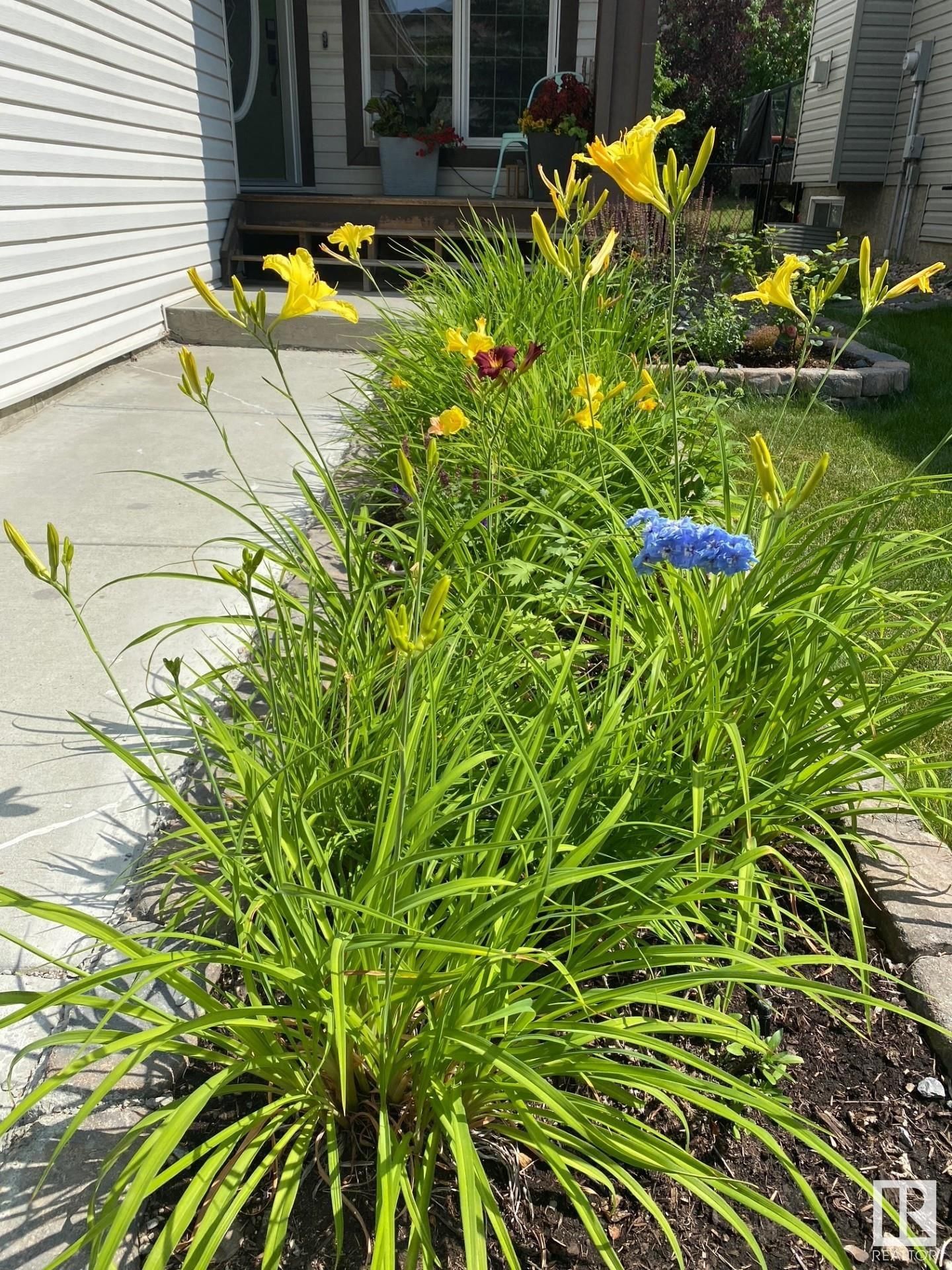 Listing Image 53