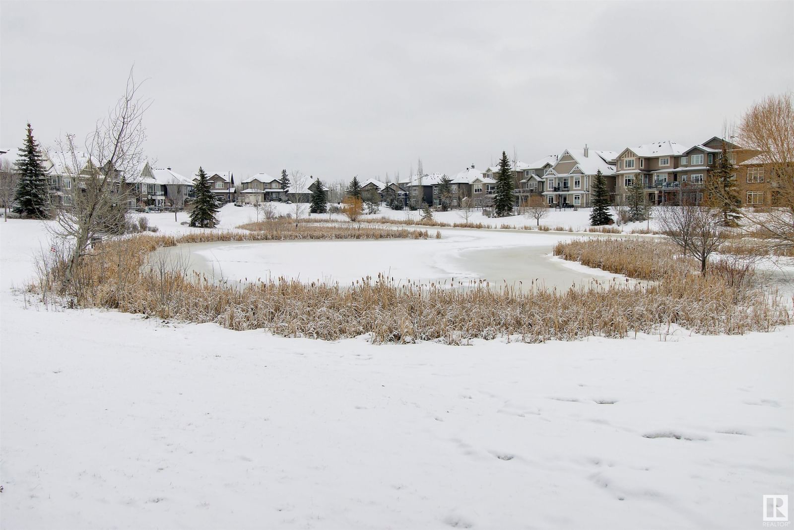 Listing Image 65