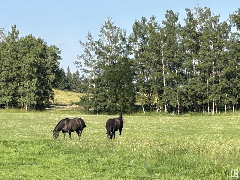 51208 Rge Road 233, Rural Strathcona County — listing photo 7