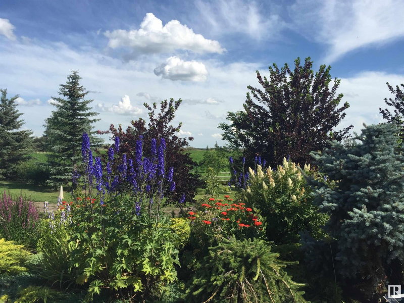 51208 Rge Road 233, Rural Strathcona County — listing photo 8