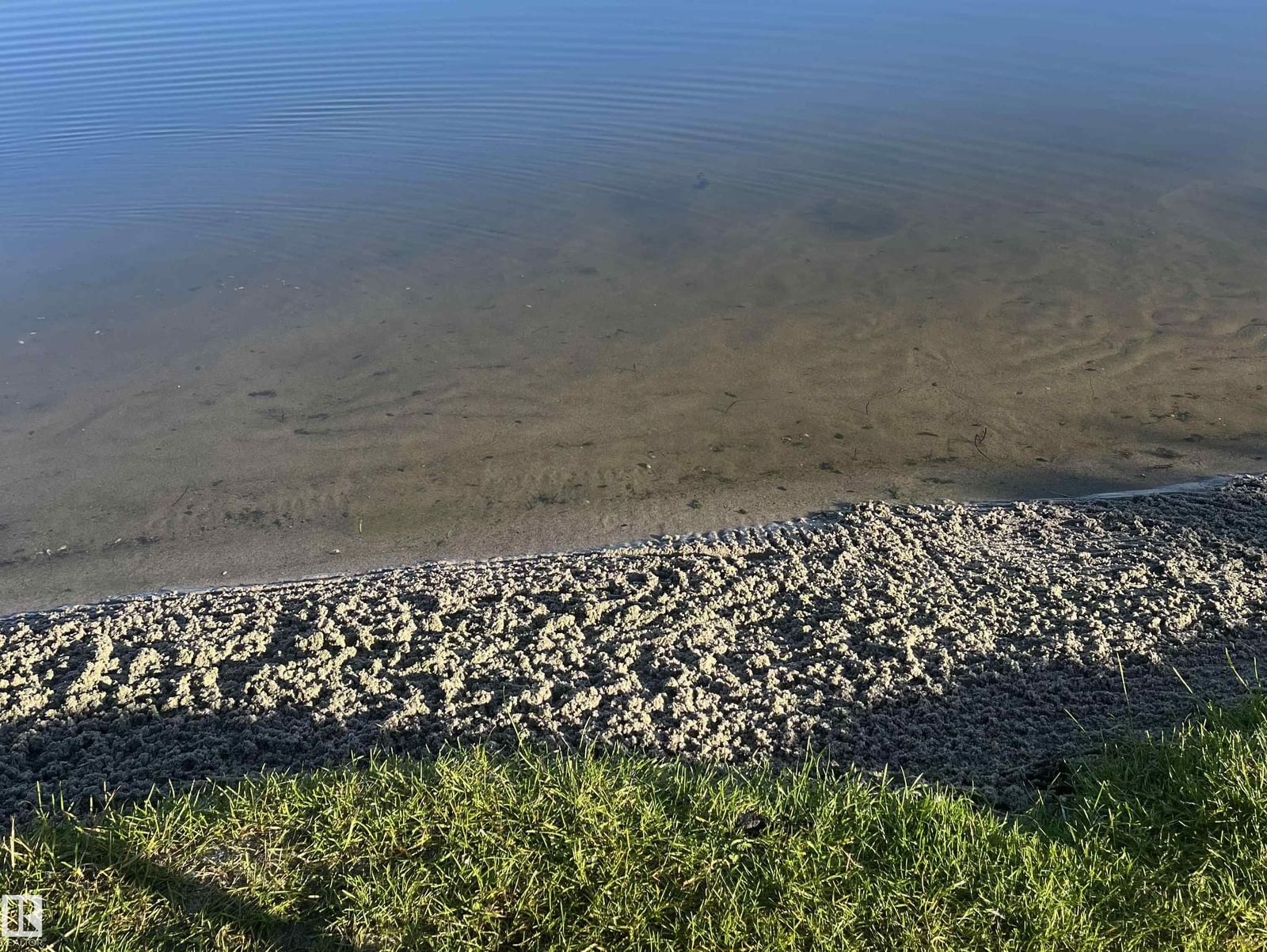 Listing Image 74
