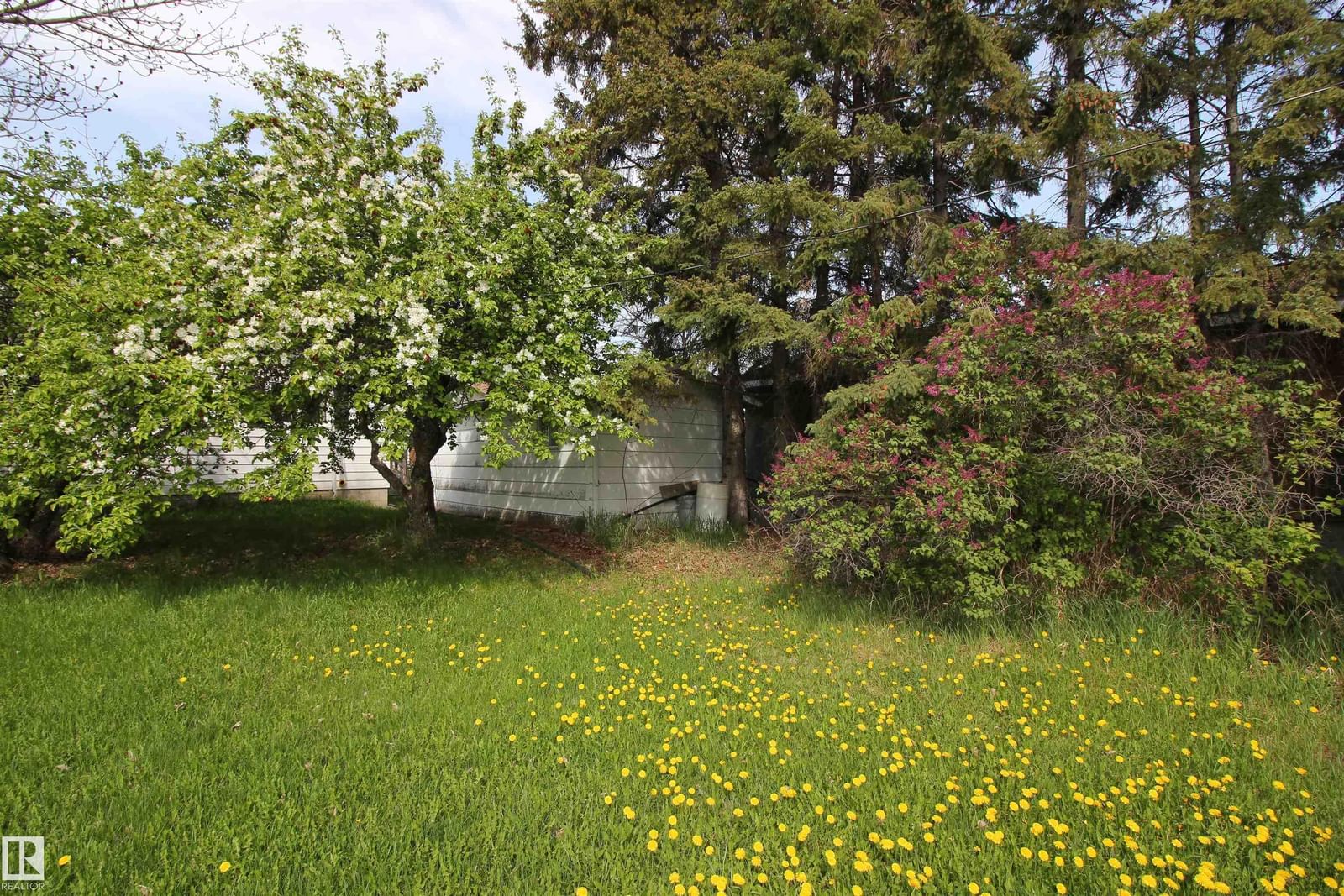 Listing Image 30