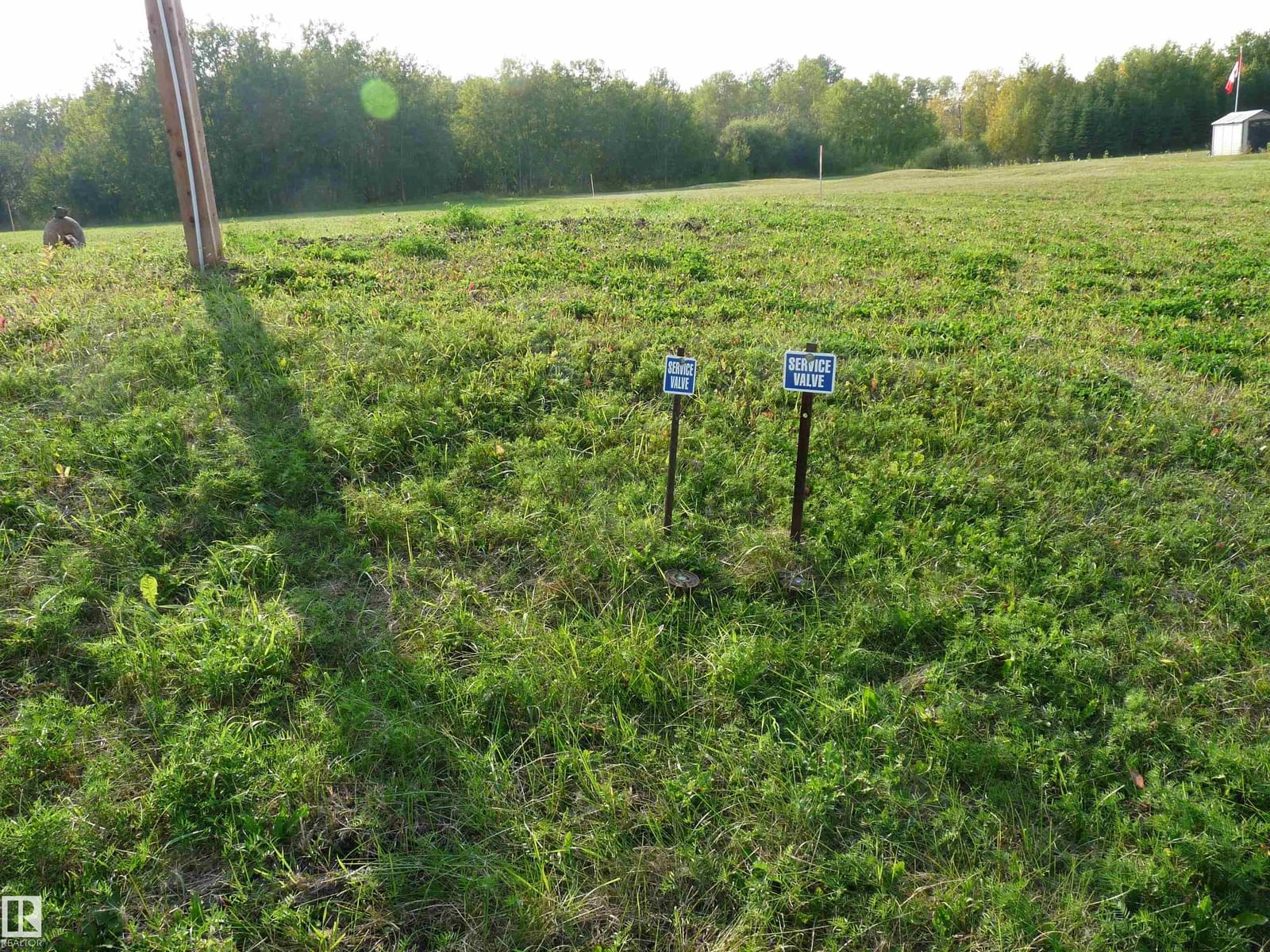 Listing Image 9