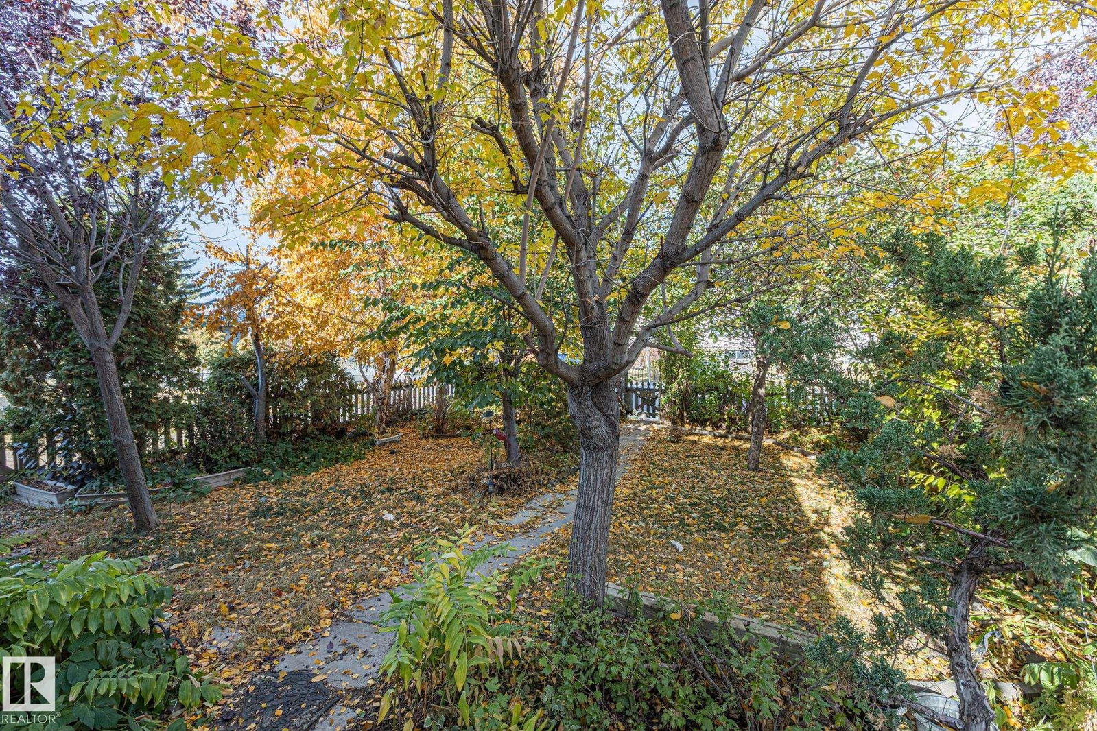 Listing Image 39