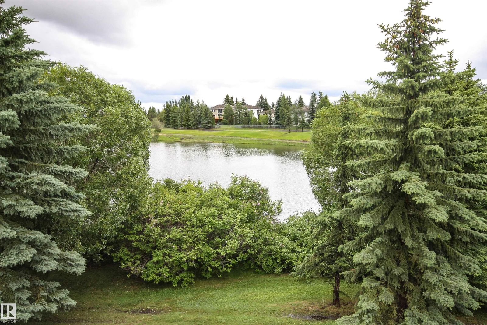 Listing Image 50