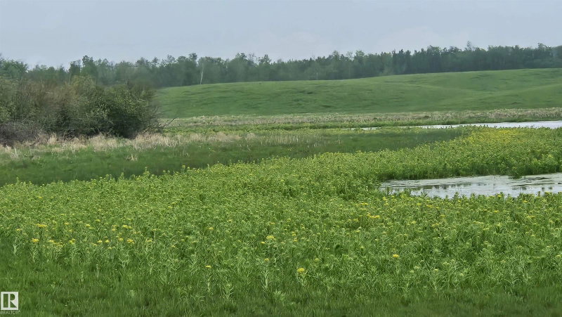 11 Twin Lakes Drive, Rural Lamont County — listing photo 4