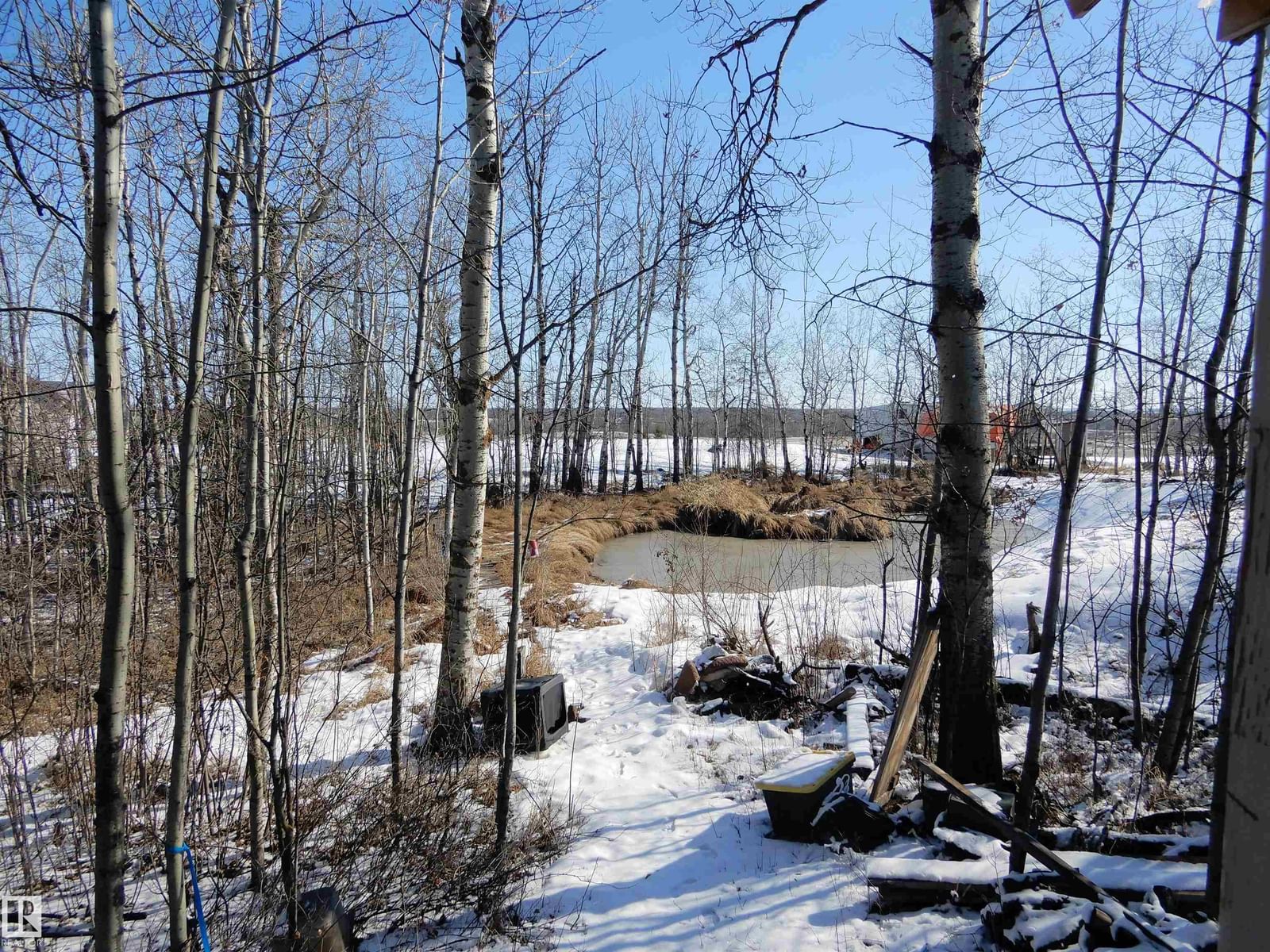 Listing Image 21