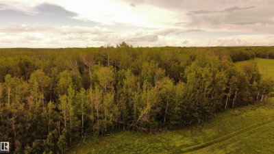 Thumbnail 23
