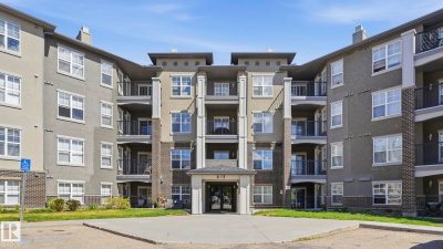 212 - 630 MCALLISTER Loop