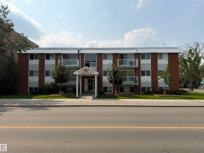 306 - 11340 124 Street