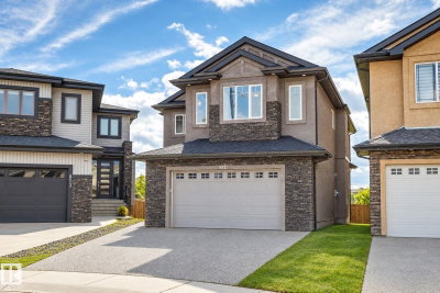 811 ALBANY COVE