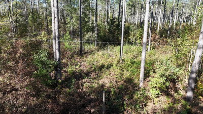 TBD BB Mann Road, Spooner, WI, 54801